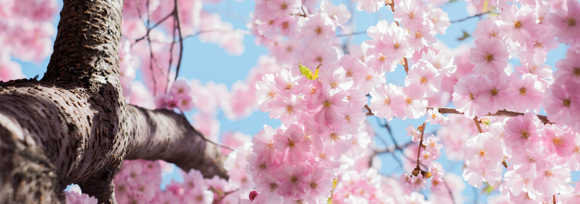 Epic May Days Ahead at Zephyr Epic